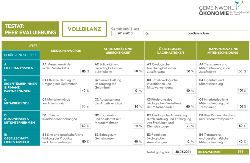 2019-conSalis_gwoe_testat_5_0_PEER_Vollbilanz